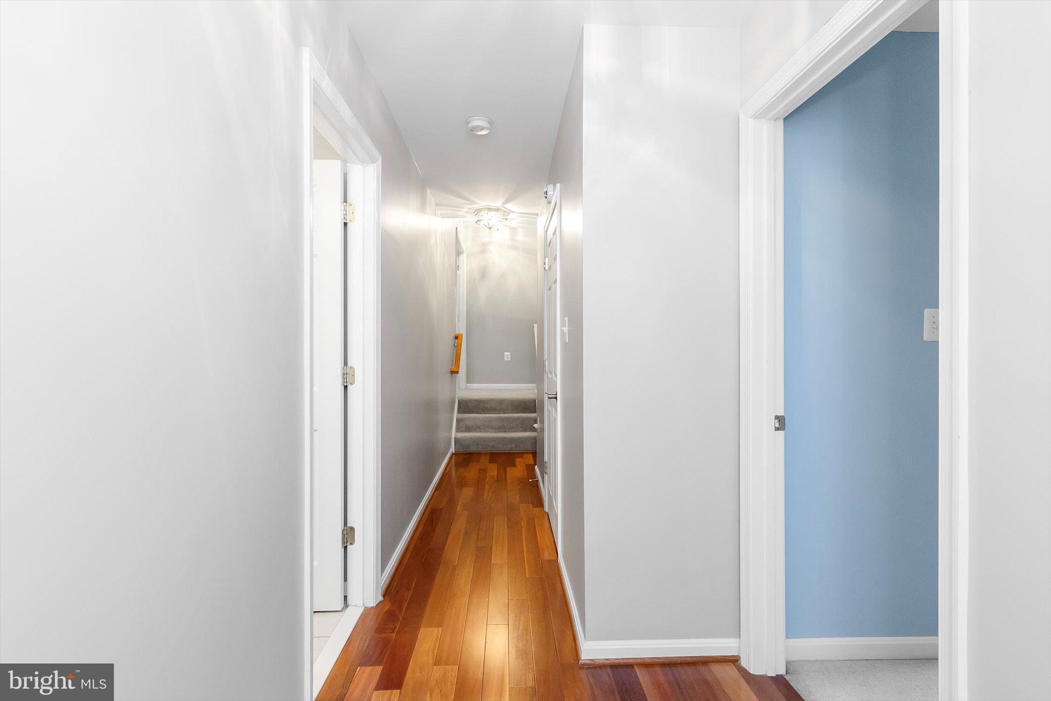 NORBORNE GLEBE - Residential