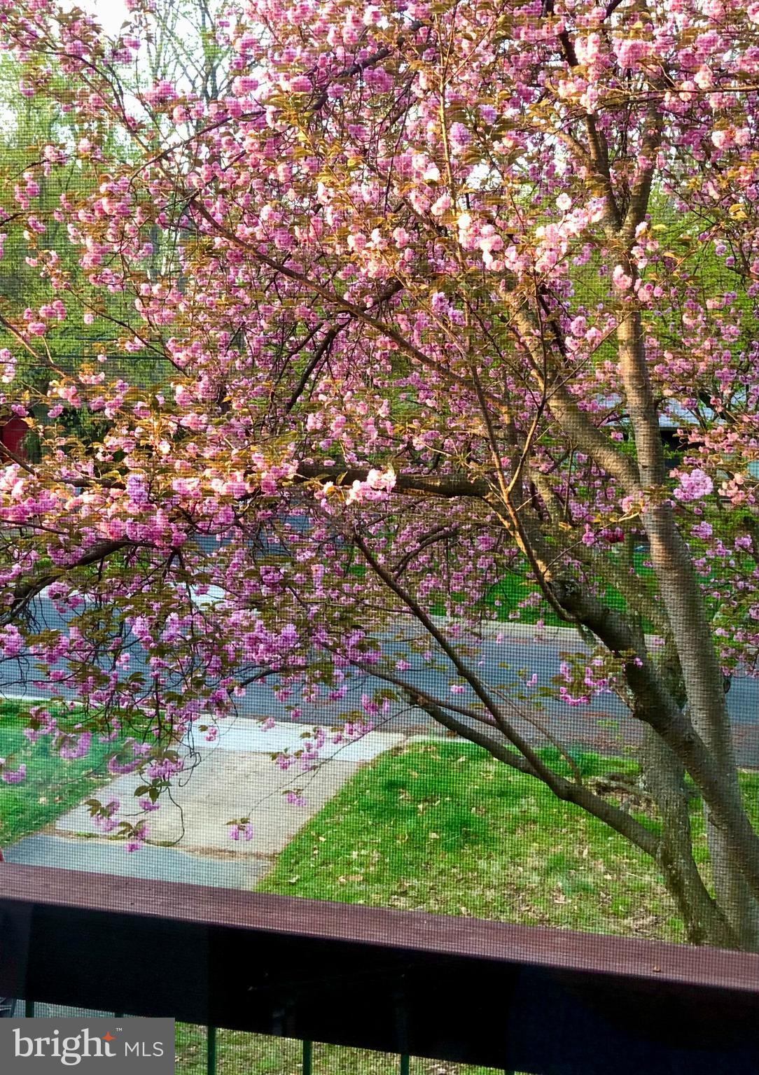 MANOR WOODS - Residential