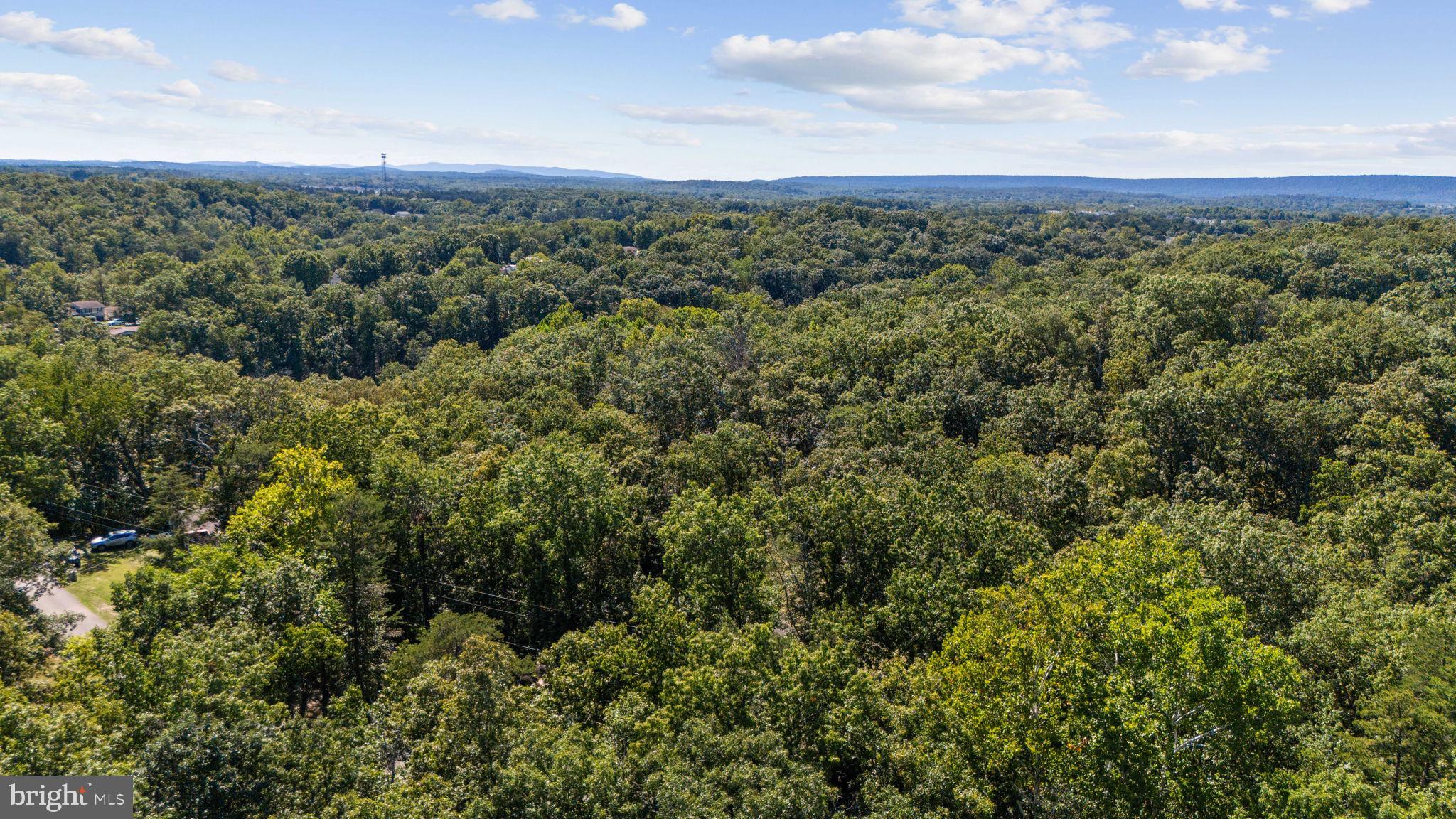 THREE RUN WOODS - Residential