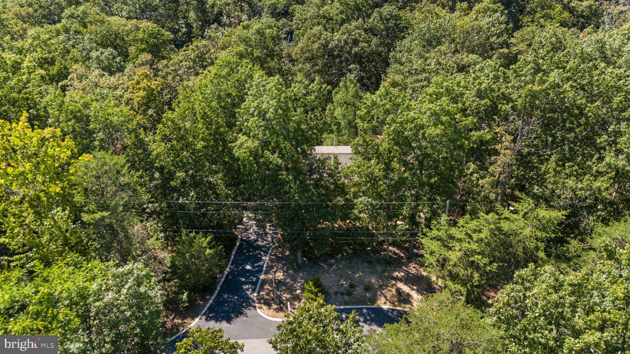 THREE RUN WOODS - Residential