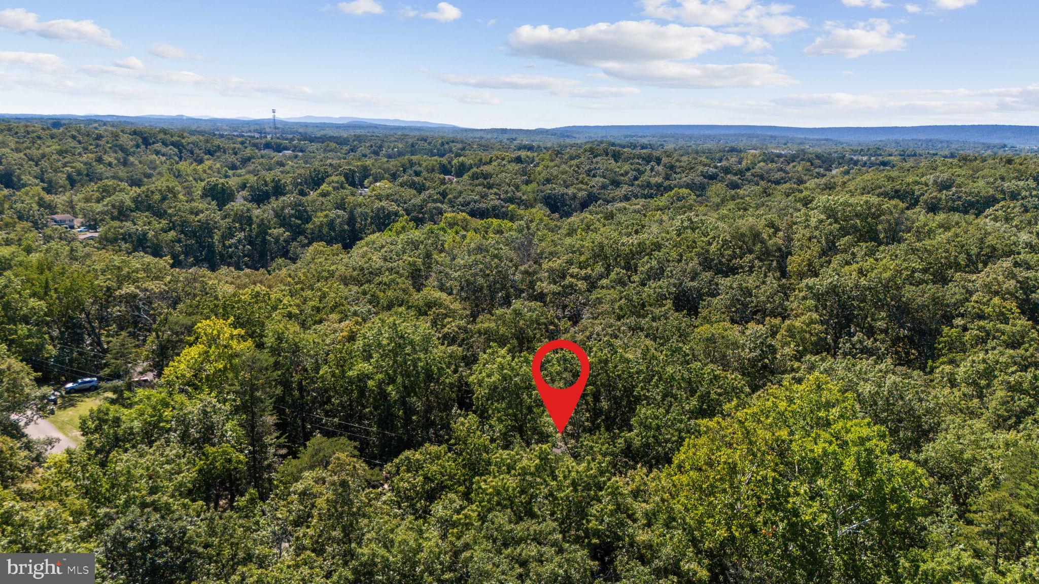 THREE RUN WOODS - Residential