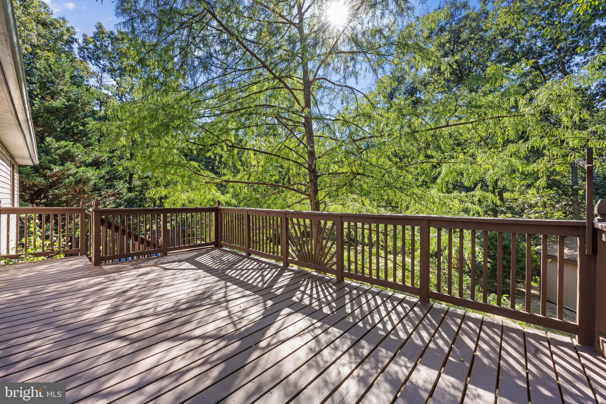 THREE RUN WOODS - Residential