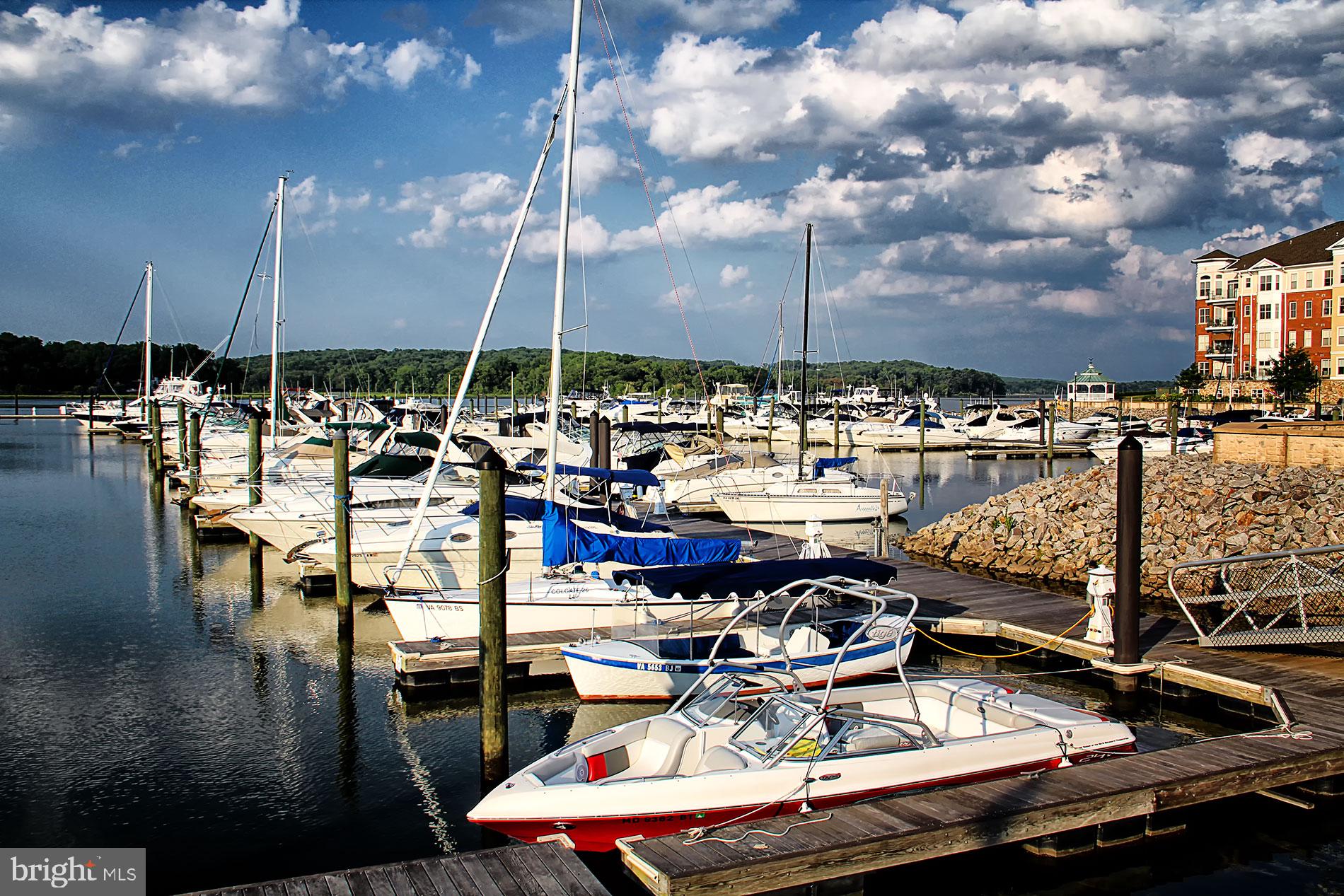 RIVER CLUB 1 AT BELMONT - Residential Lease