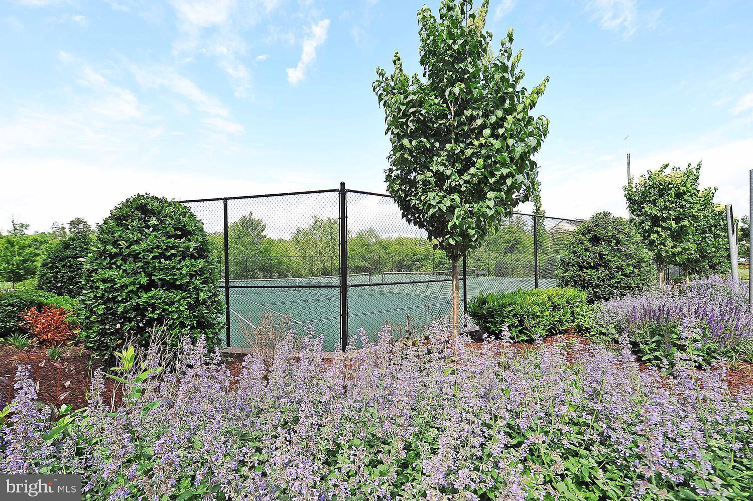 RIVER CLUB 1 AT BELMONT - Residential Lease