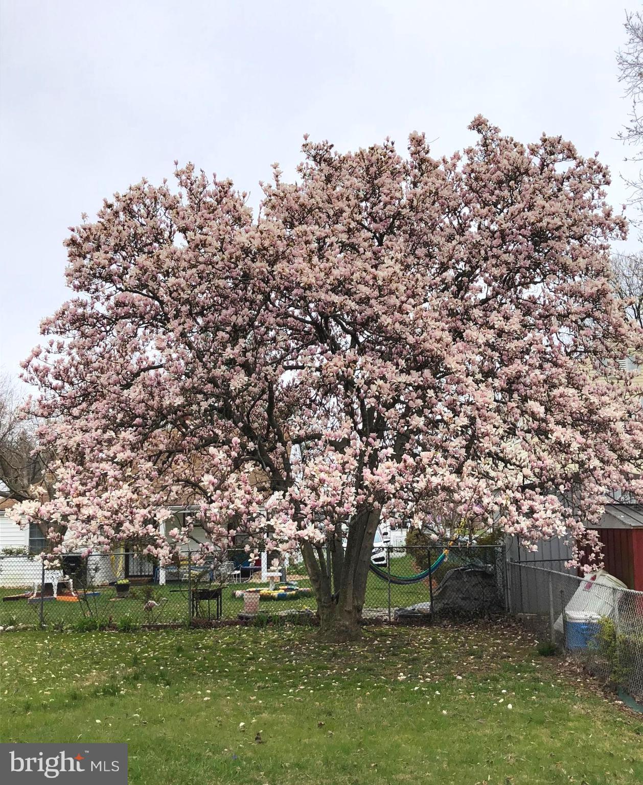 GREEN MEADOWS - Residential