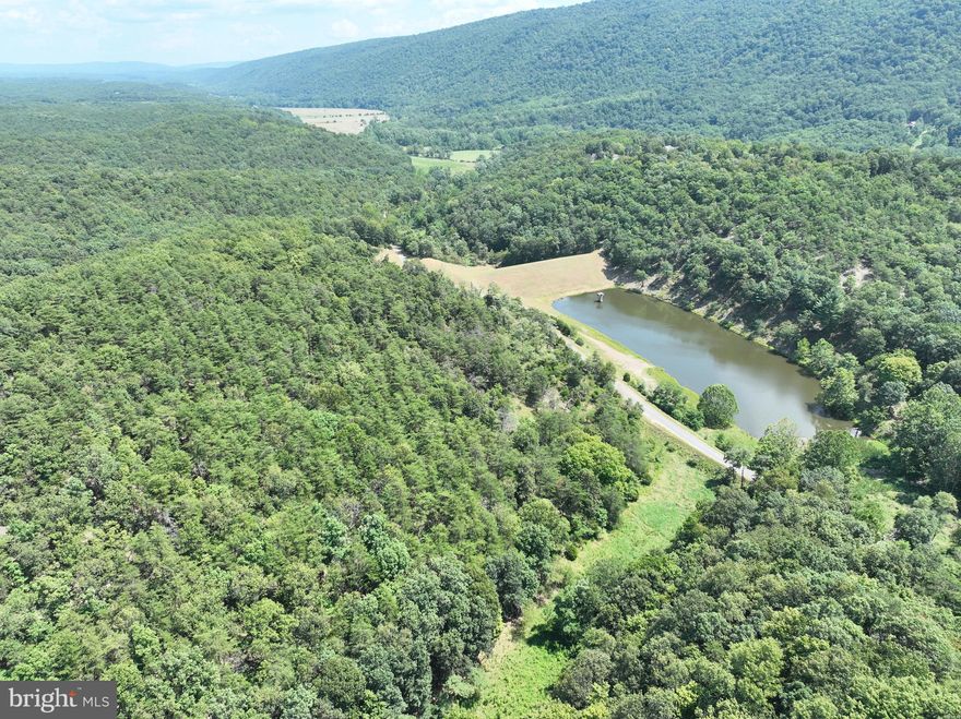 Introducing a once-in-a-lifetime opportunity to own a breathtaking 122.63-acre mountain parcel nestled in the heart of Mineral County, West Virginia. This pristine property offers a haven of natural beauty, teeming with abundant wildlife, exceptional hunting prospects, and a stunning 3-acre lake. All of this, conveniently located within an effortless 2.5-hour drive from the bustling metropolis of Washington DC. As you set foot on this expansive parcel, you'll be greeted by the panoramic vistas of rolling hills, lush woodlands, and captivating mountain ranges that stretch as far as the eye can see. The landscape is a masterpiece of nature's artistry, providing an idyllic setting for a variety of recreational activities. Nature enthusiasts and hunters alike will find themselves in awe of the abundant wildlife that calls this property home. Deer, bear, turkey, and various other wildlife species roam freely throughout the acreage, creating an unparalleled opportunity for both observing and hunting opportunities. With its diverse topography and rich wildlife population, this parcel is a hunting paradise. Whether you're an avid hunter or a newcomer to the sport, the property offers a range of habitats to pursue your passion, ensuring memorable and successful hunting experiences. A true gem of the property, the 3-acre lake shimmers like a sapphire amidst the lush surroundings. Imagine spending leisurely afternoons fishing for bass, paddleboarding, or simply taking in the tranquility of the water's reflection against the backdrop of the mountains. Tucked away from the hustle and bustle of city life, this mountain retreat provides the ultimate in privacy and seclusion. Create your own oasis, where you can disconnect from the world and reconnect with nature, all while being just a short drive away from urban amenities. Surprisingly accessible, the property's location is a mere 2.5-hour drive from the Washington DC Metropolitan area. Making this property an ideal weekend getaway or an easily accessible escape for those seeking solace in the mountains without sacrificing the convenience of city life. Whether you envision building your dream cabin overlooking the lake, having your own piece of hunting paradise, or crafting the ultimate homestead, the possibilities are limitless on this expansive canvas. The property's vast acreage provides ample room to turn your vision into reality. Don't miss your chance to own this unparalleled 122.63-acre mountain paradise deeply secluded in the wilds of Mineral County, West Virginia.