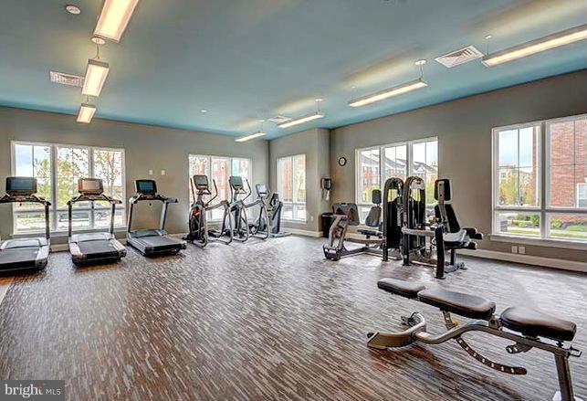 OXFORD SQUARE - Residential