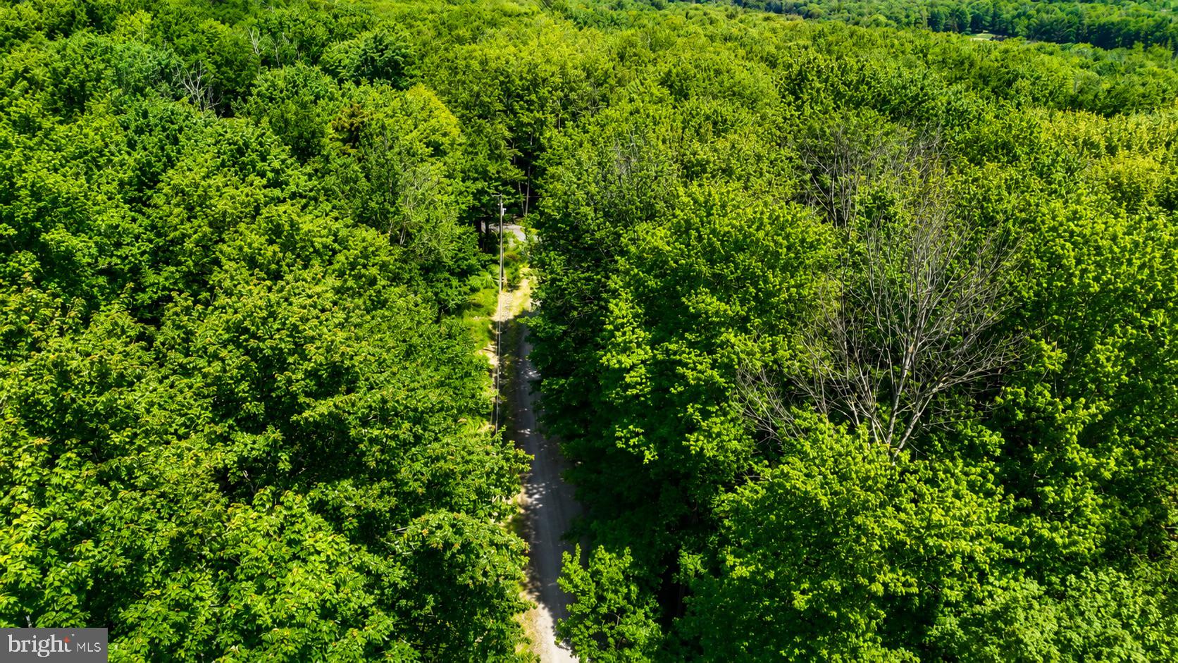 00 PANTHER HILL DRIVE