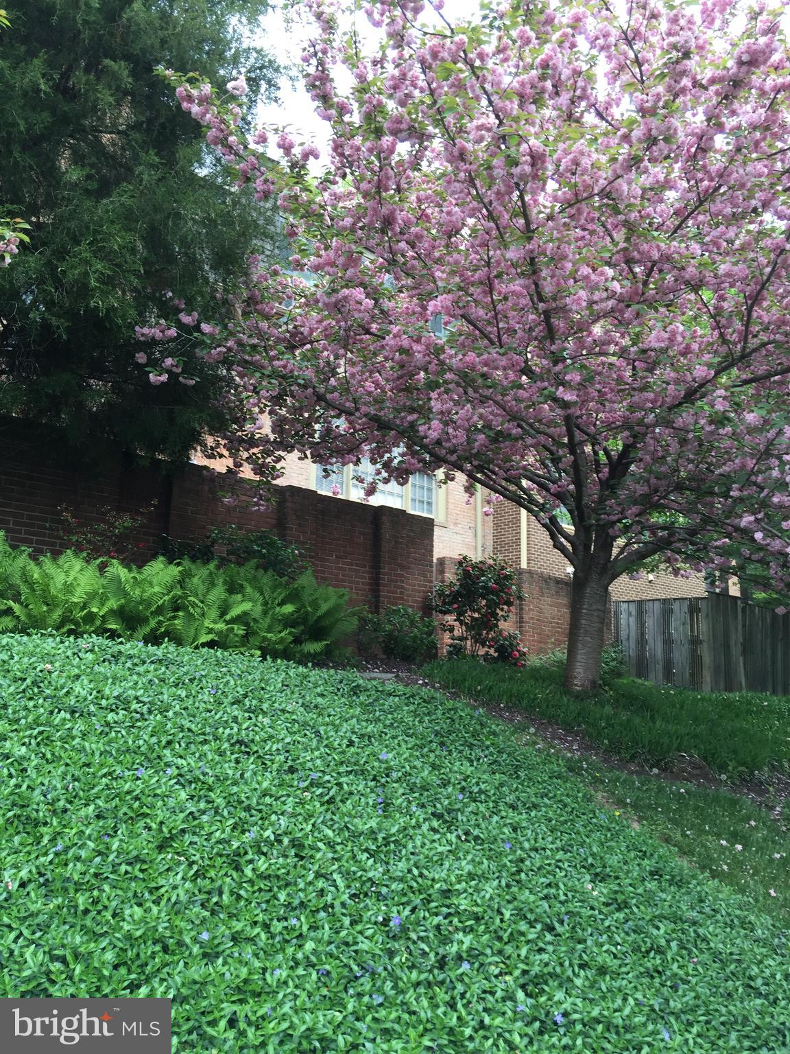 WESTBARD MEWS - Residential Lease