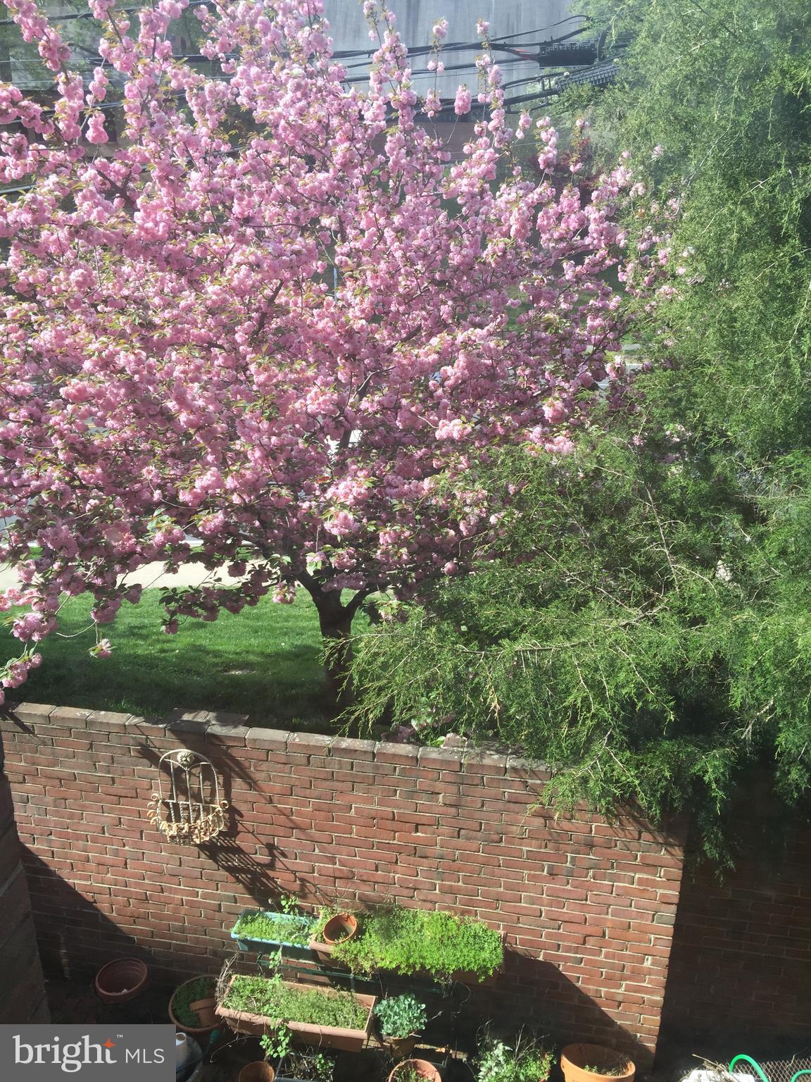 WESTBARD MEWS - Residential Lease