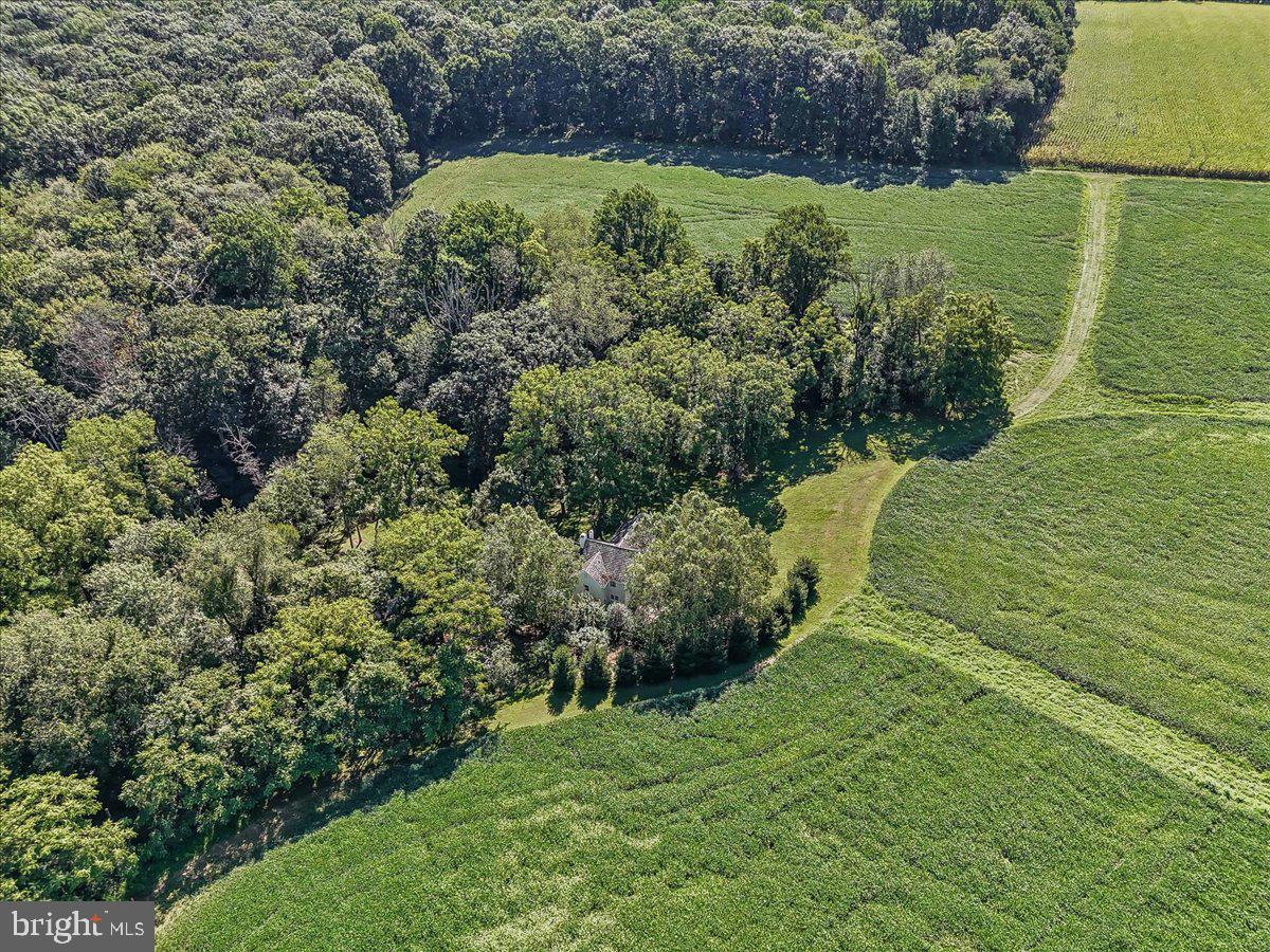 CHESHIRE HUNT - Residential