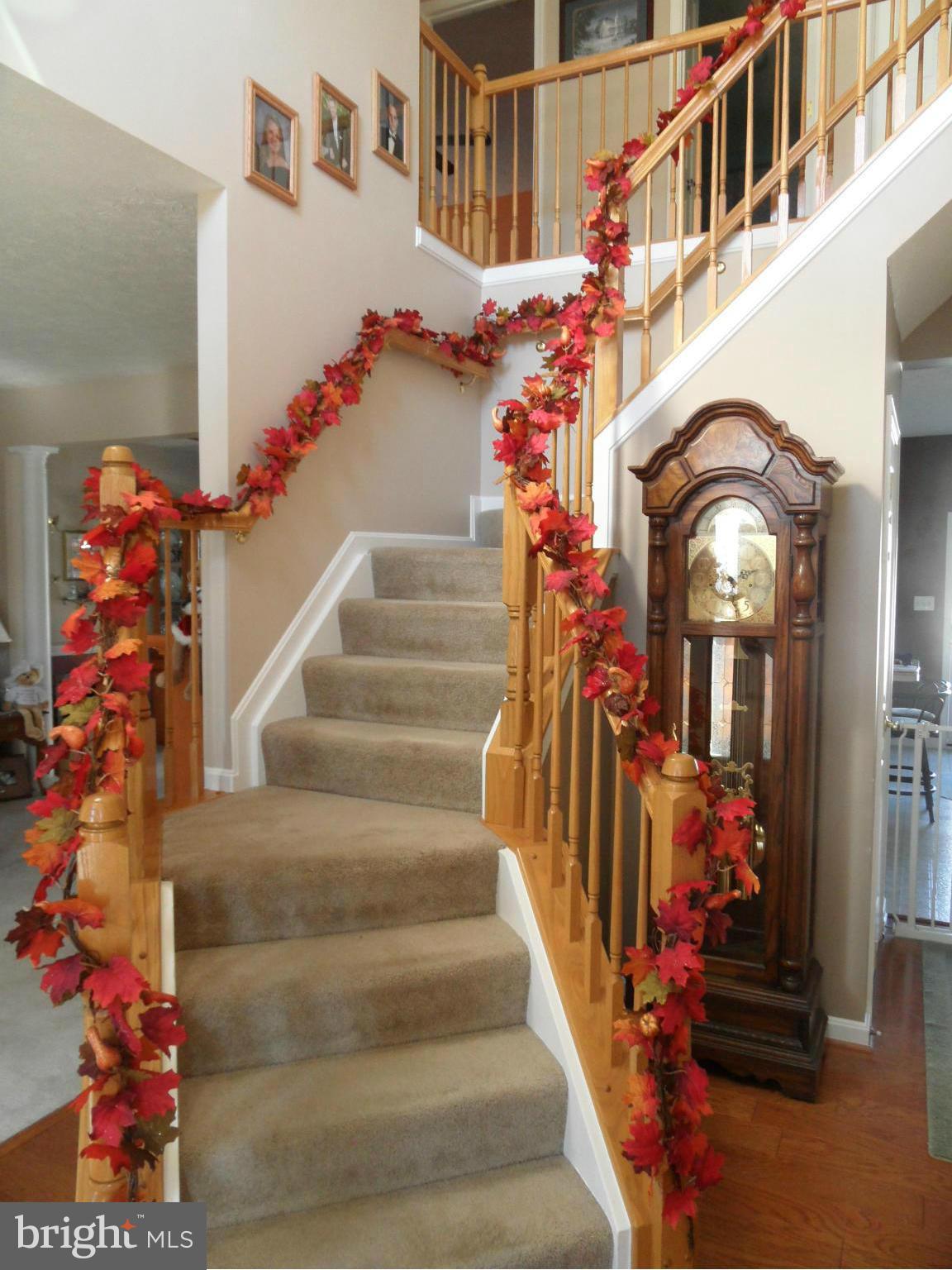 WALNUT POINT - Residential