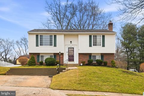 Homes For Sale - 3622 Rusty Rim<br/> Howard County, ELLICOTT CITY, MD 21043