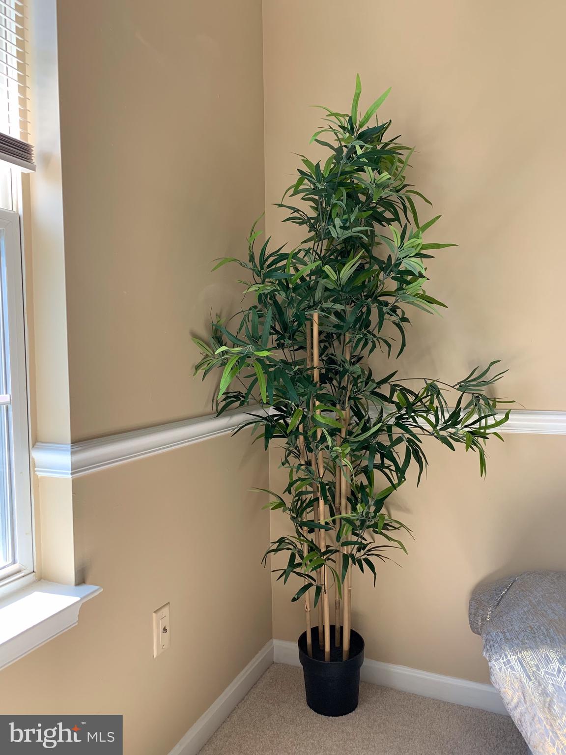 PIKESWOOD VILLAGE - Residential