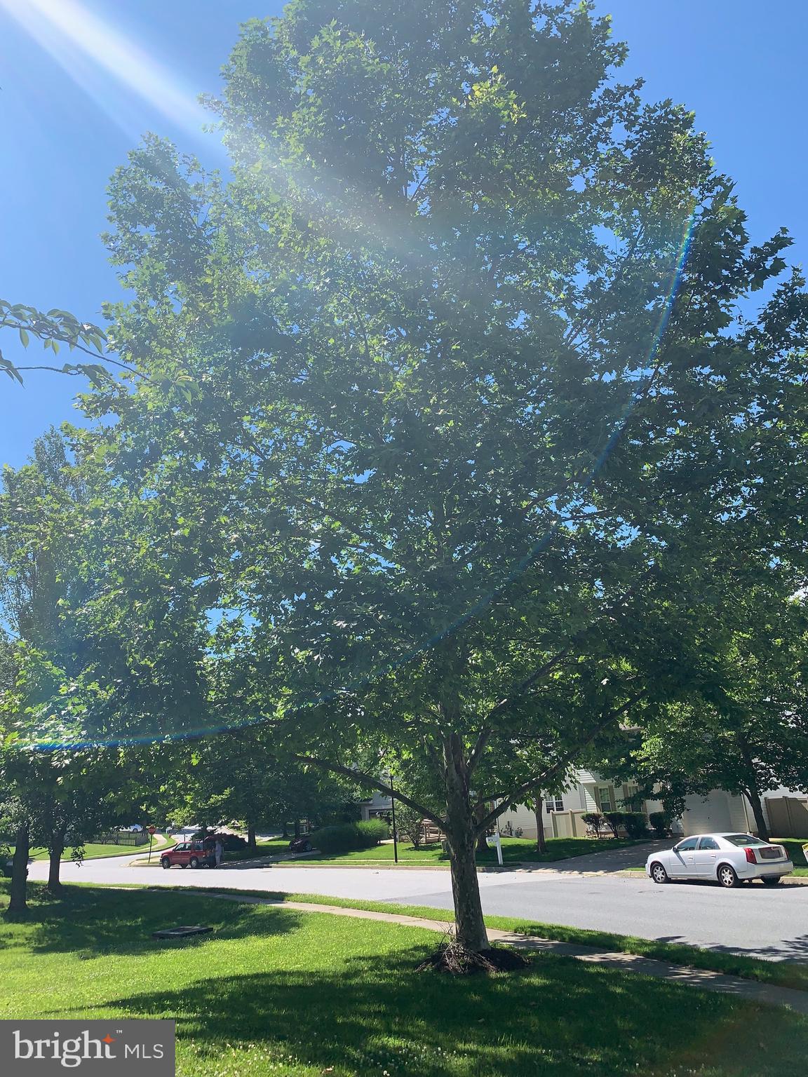 PIKESWOOD VILLAGE - Residential