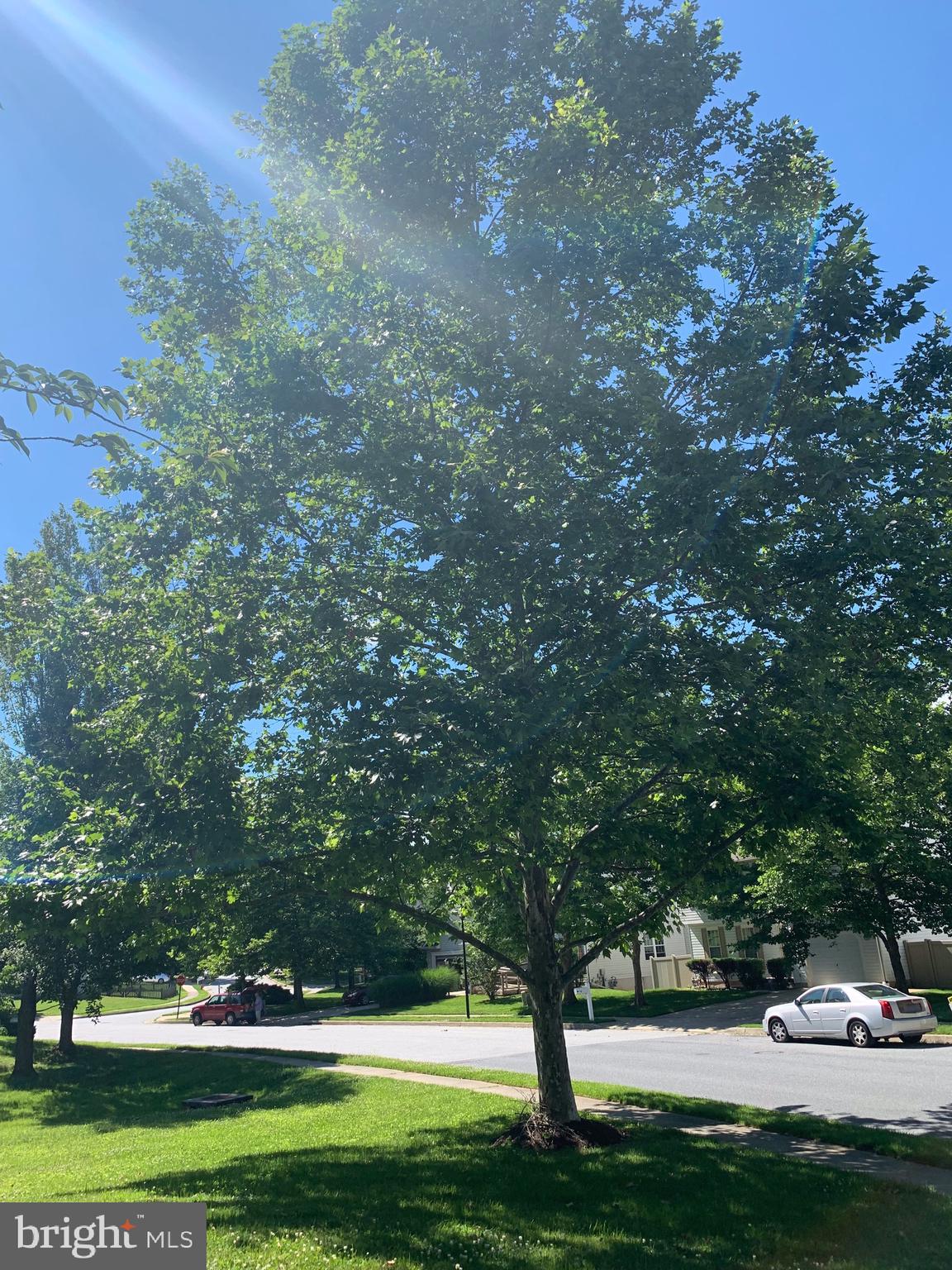 PIKESWOOD VILLAGE - Residential