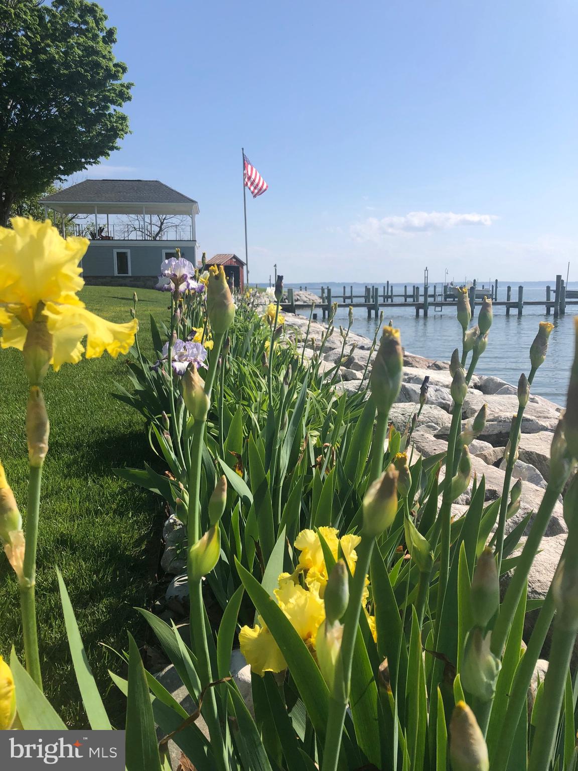WATERLOO SHORES - Residential