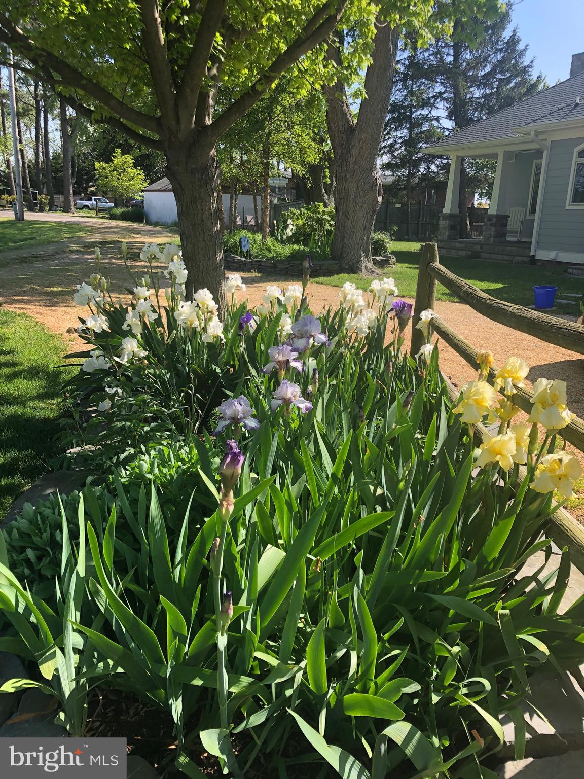 WATERLOO SHORES - Residential