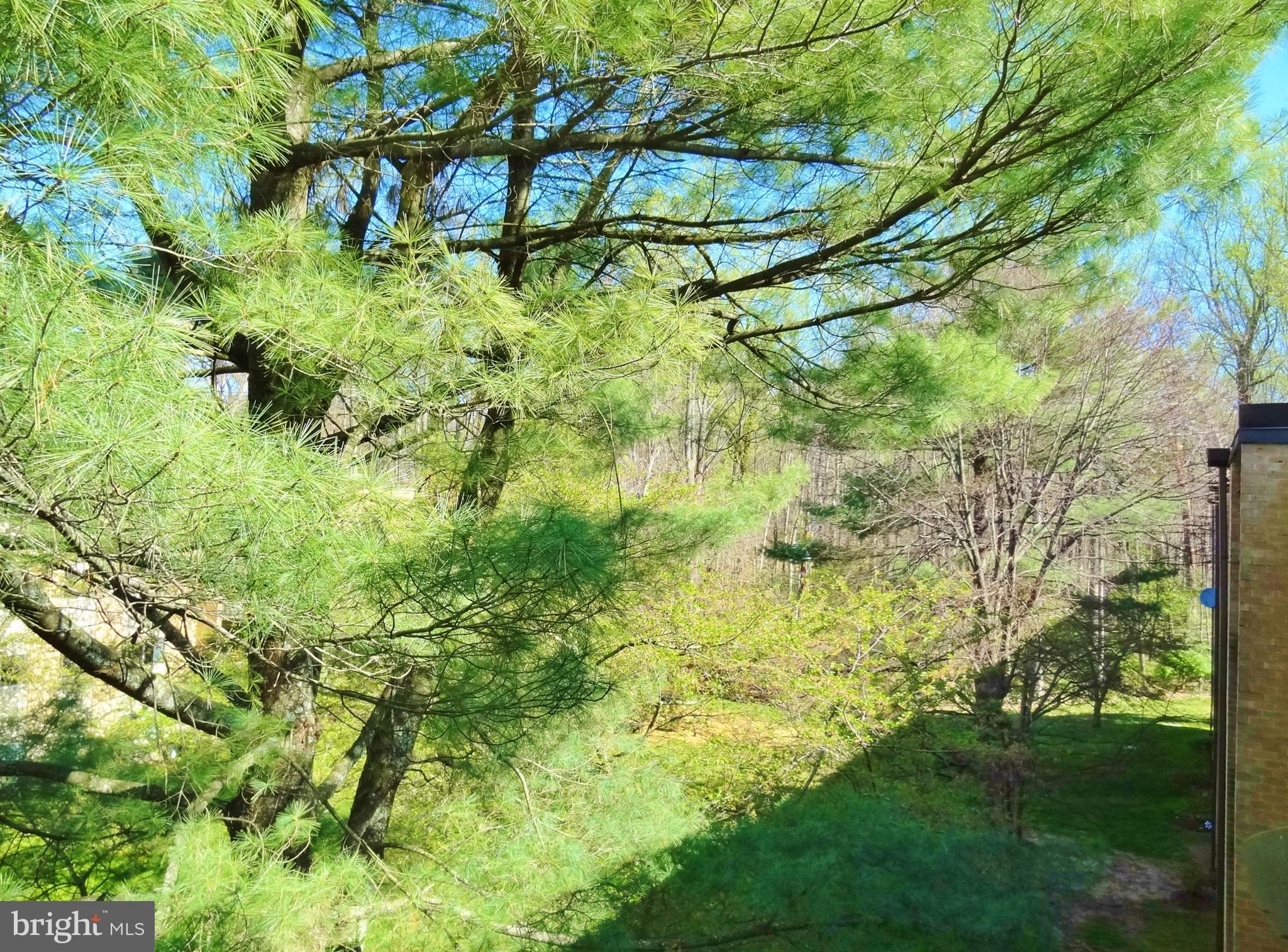 BETHESDA PARK - Residential