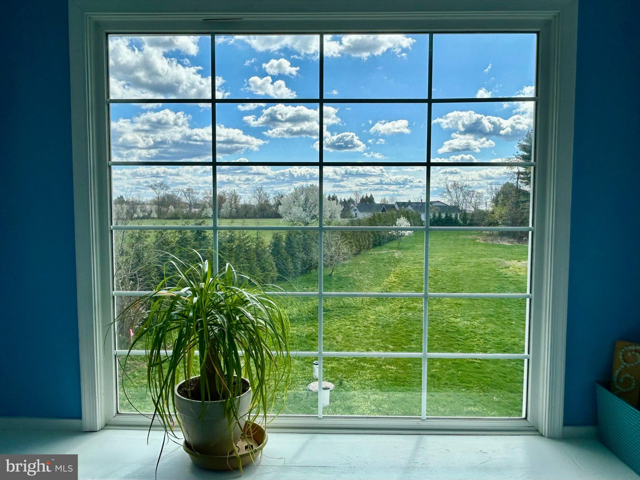 PENN PARK - Residential