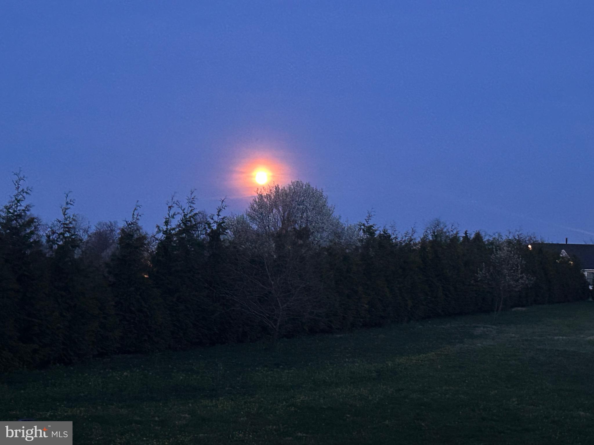 PENN PARK - Residential