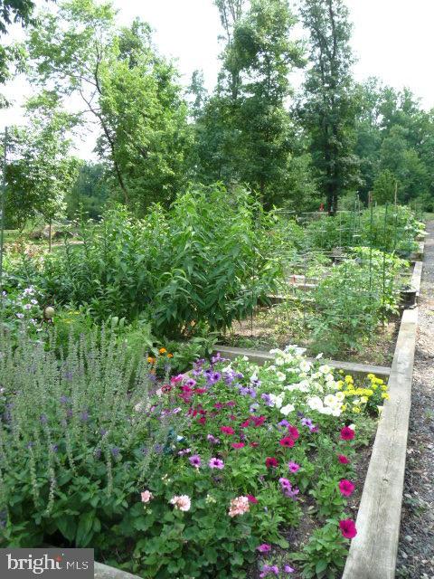 LANSDOWNE WOODS - Residential Lease