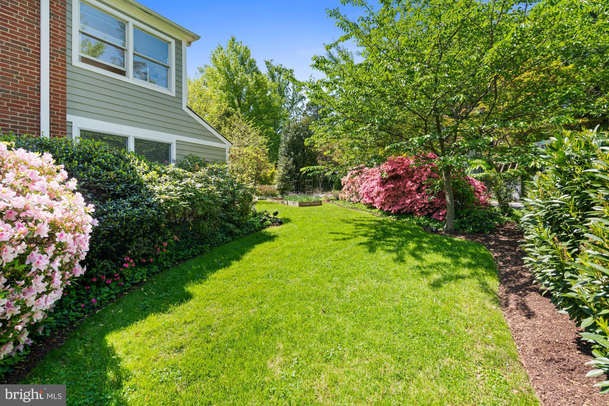 CHEVY CHASE - Residential Lease