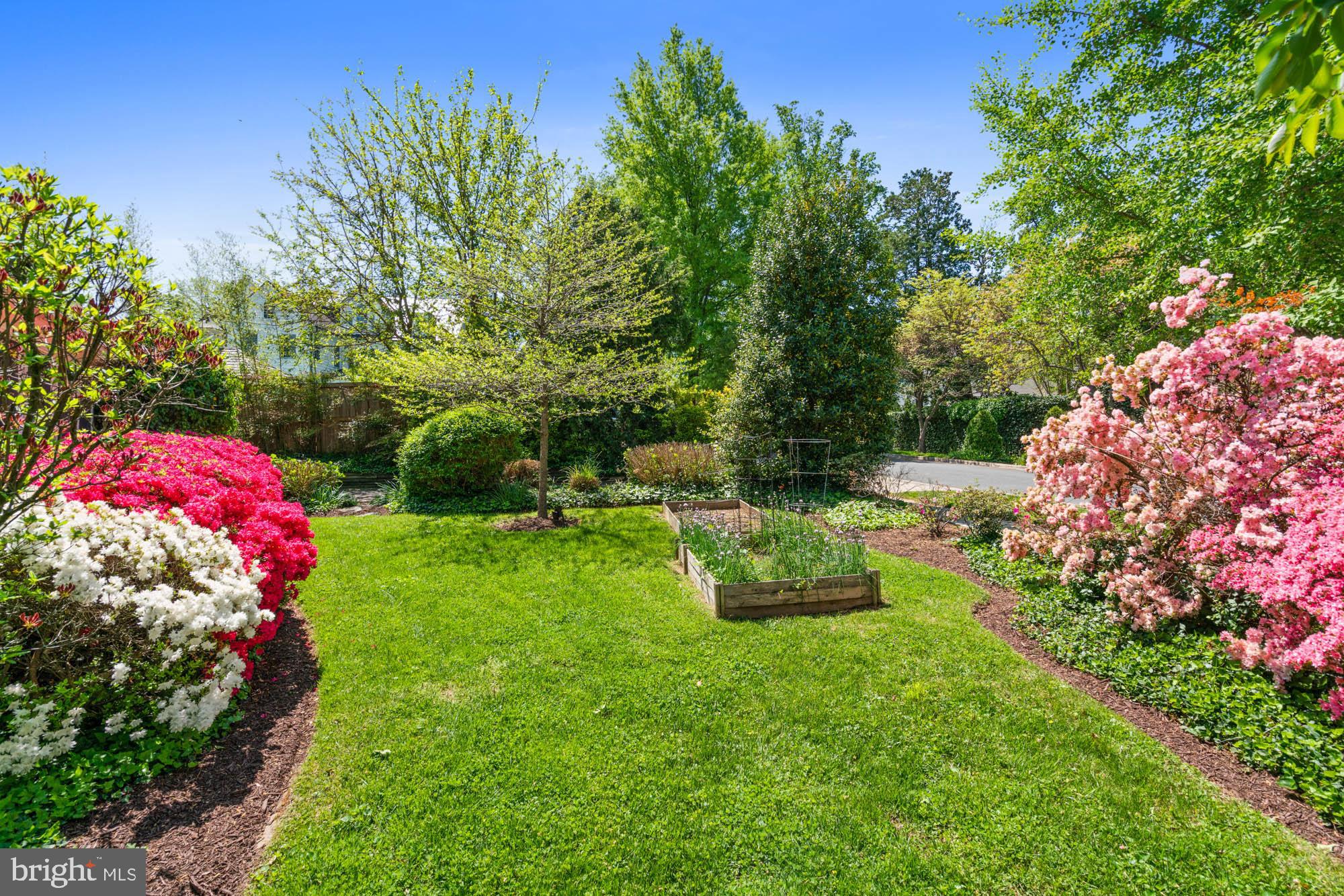 CHEVY CHASE - Residential Lease