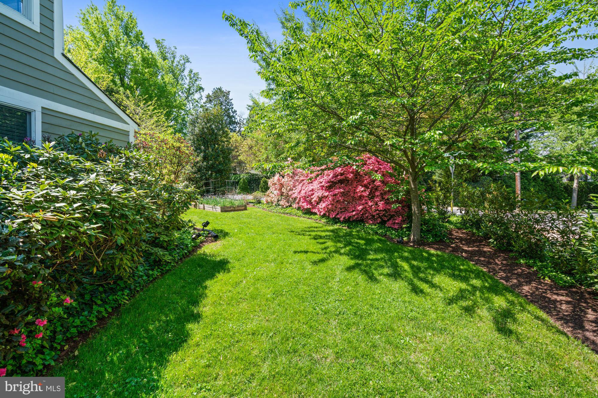 CHEVY CHASE - Residential Lease