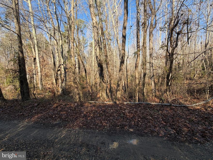 This charming 2-acre wooded lot in King George, VA, offers a peaceful, private setting with plenty of potential. In 2006, soil tests were completed, and the property was approved for a 2-bedroom alternative septic system. With a mature tree canopy and natural surroundings, it’s the perfect spot for someone seeking a quiet retreat or to build a custom home. The 1-acre adjacent lot is also for sale, providing the opportunity to purchase both parcels together and expand your space even further. Whether you're looking to build a secluded getaway or enjoy more room to roam, this lot offers the ideal combination of privacy and convenience.