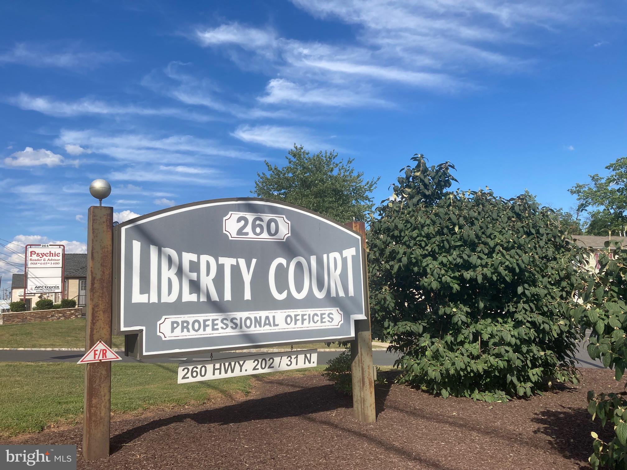 260 ROUTE 202/31 & LIBERTY COURT 900 & 1000