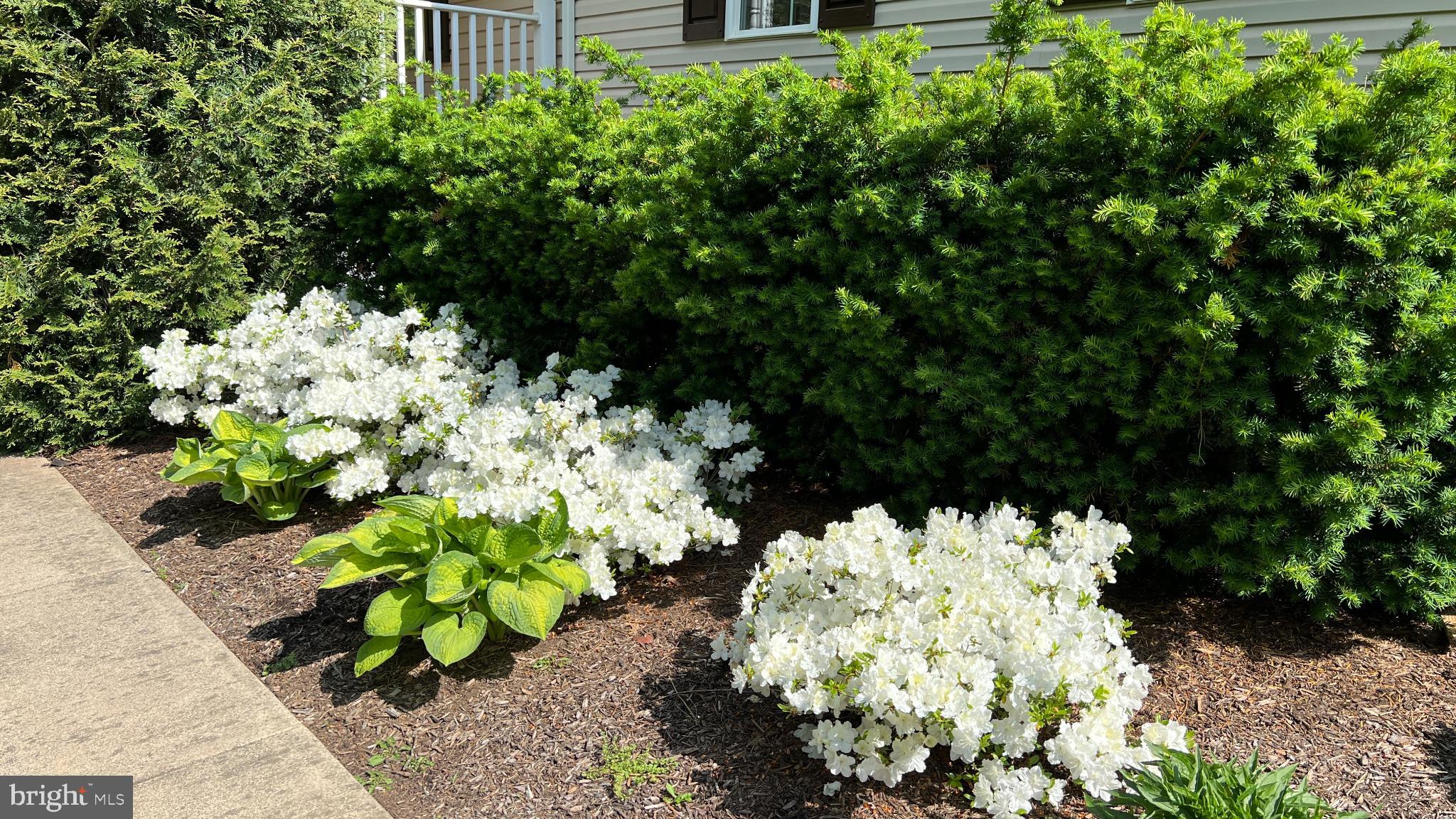 LAKE ANNA WOODS - Residential