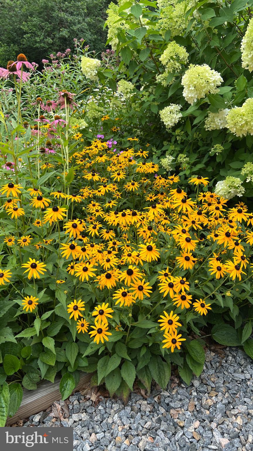 LAKE ANNA WOODS - Residential