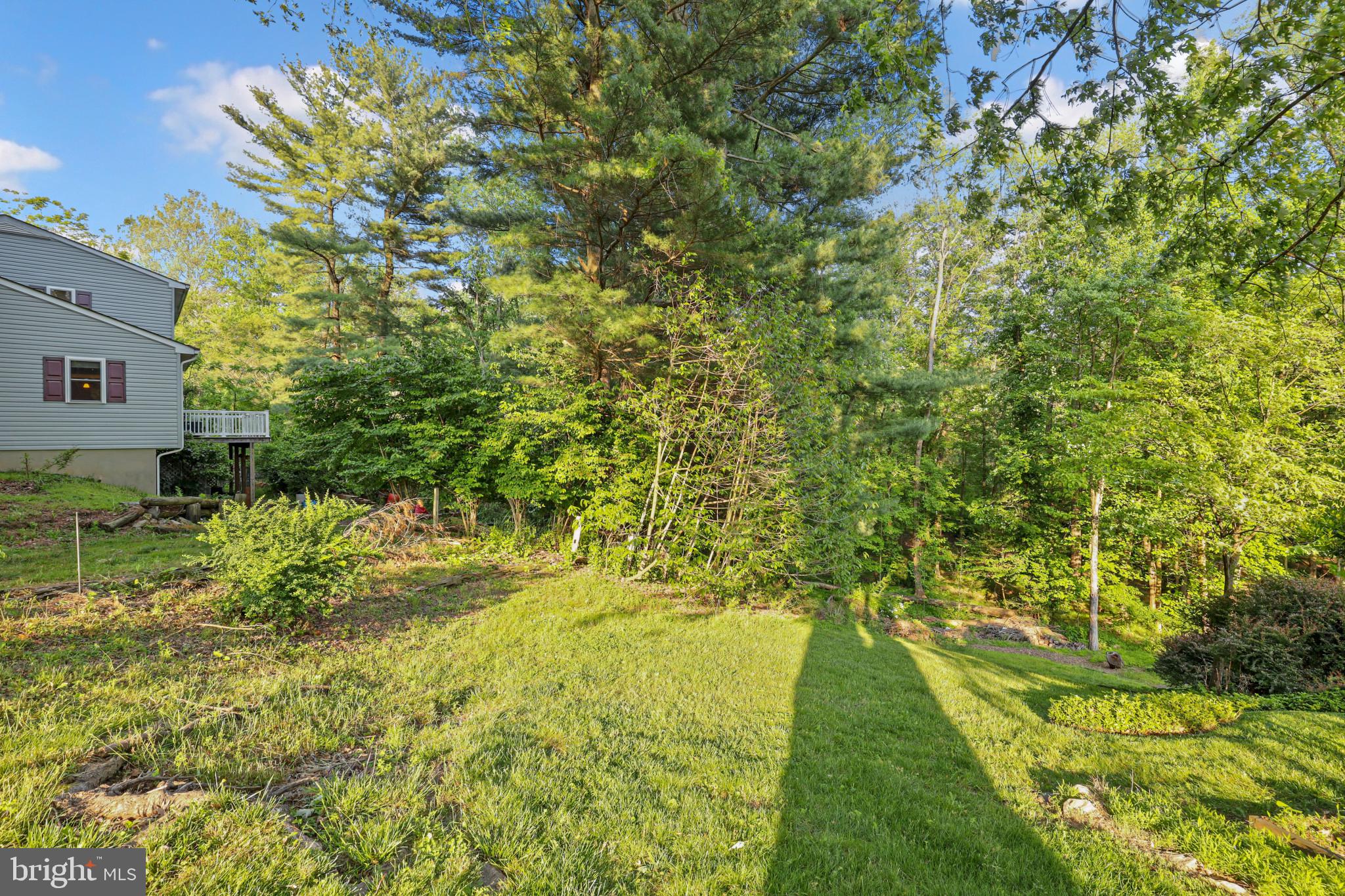 FOREST HILL - Residential