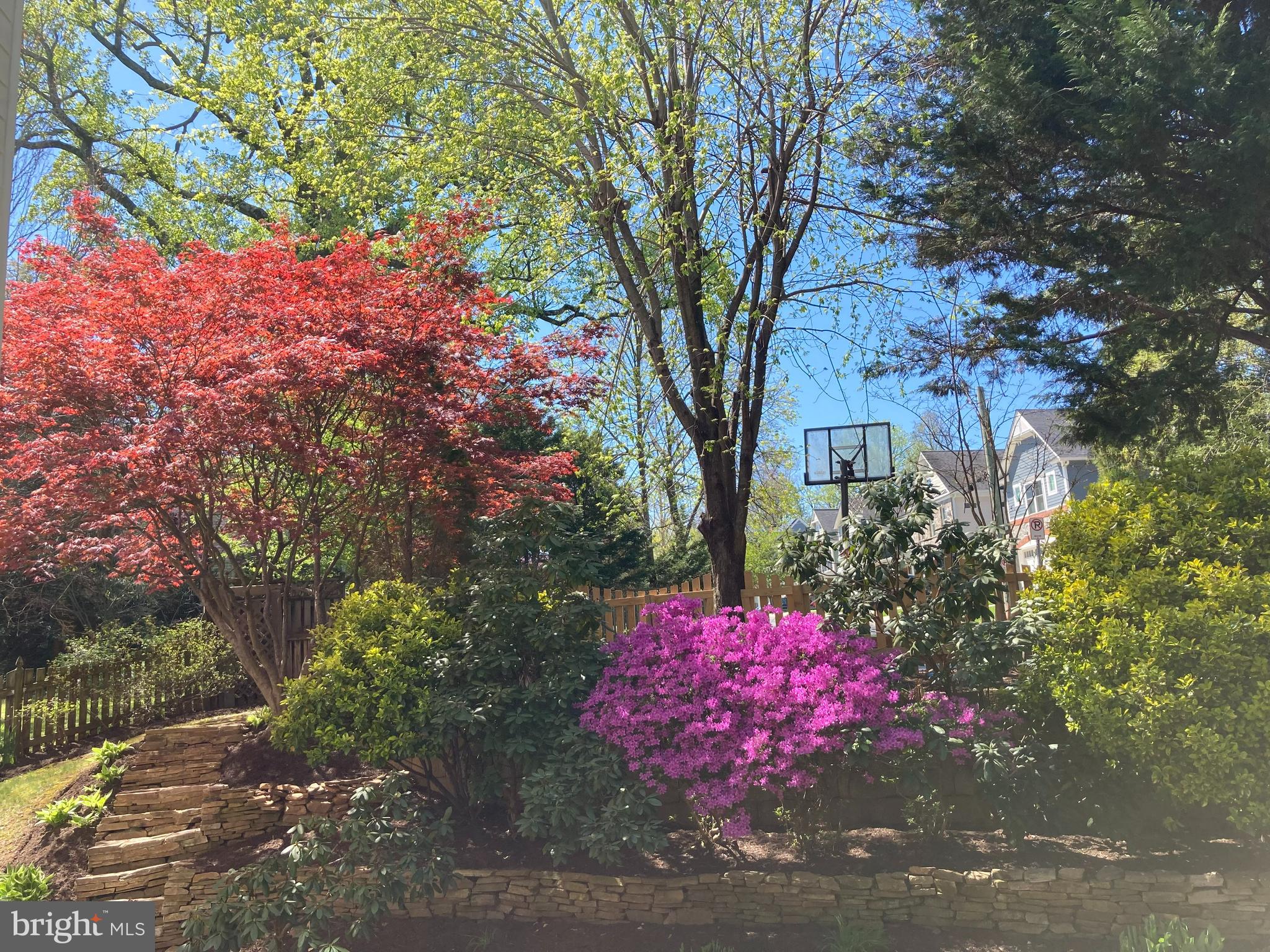 ALTA VISTA - Residential Lease