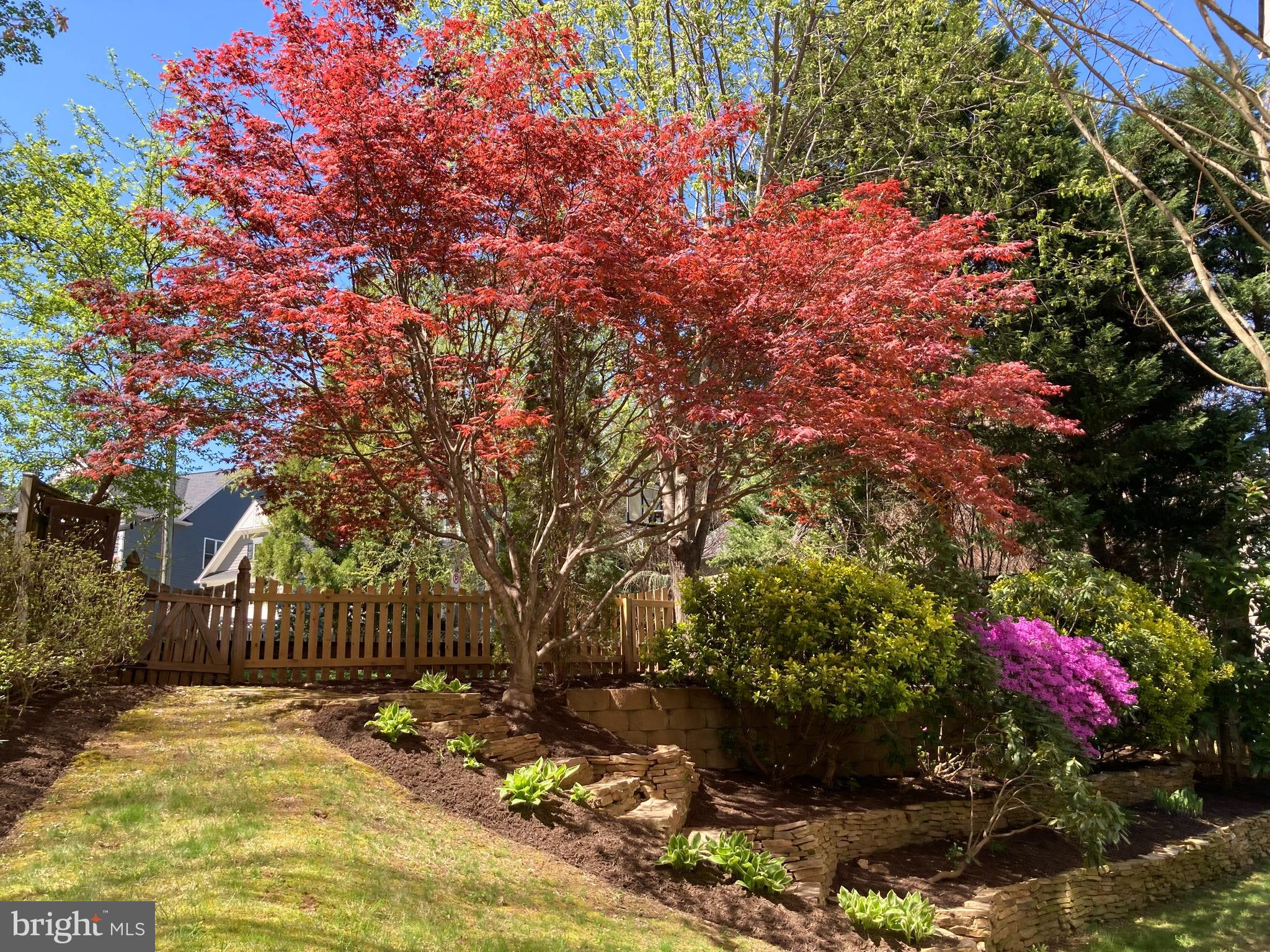 ALTA VISTA - Residential Lease