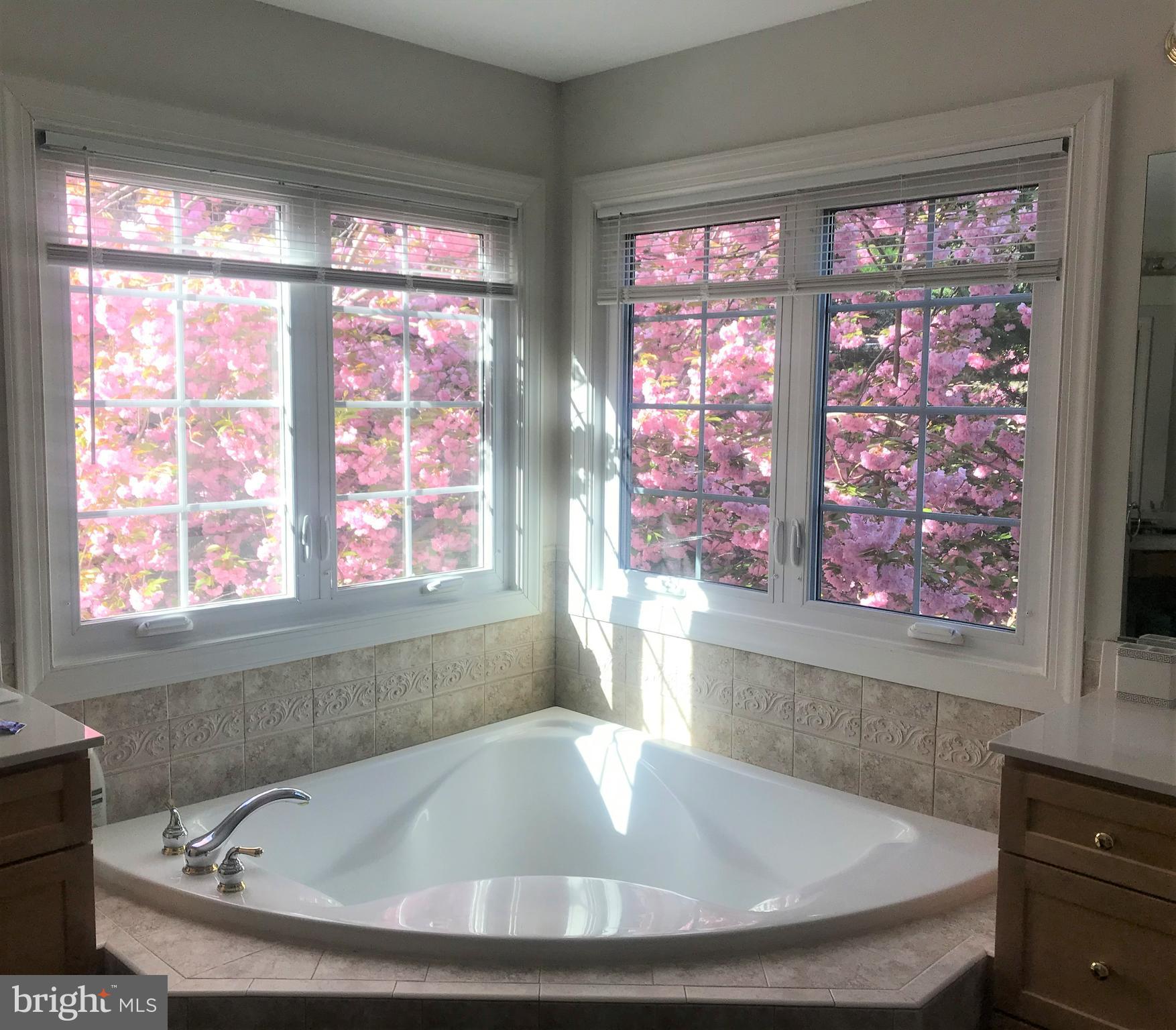 ALTA VISTA - Residential Lease