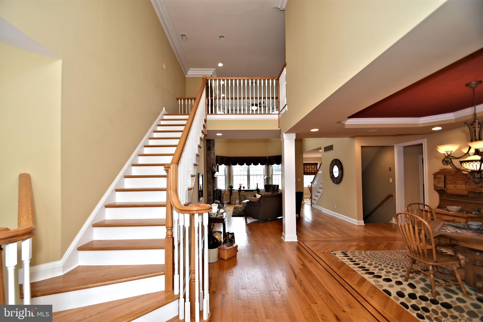 BELAMOUR - Residential