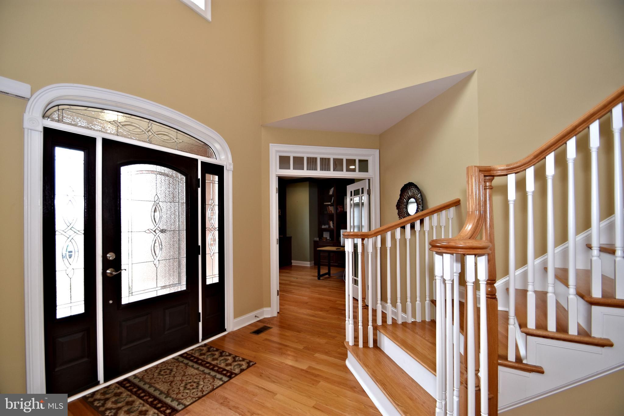 BELAMOUR - Residential