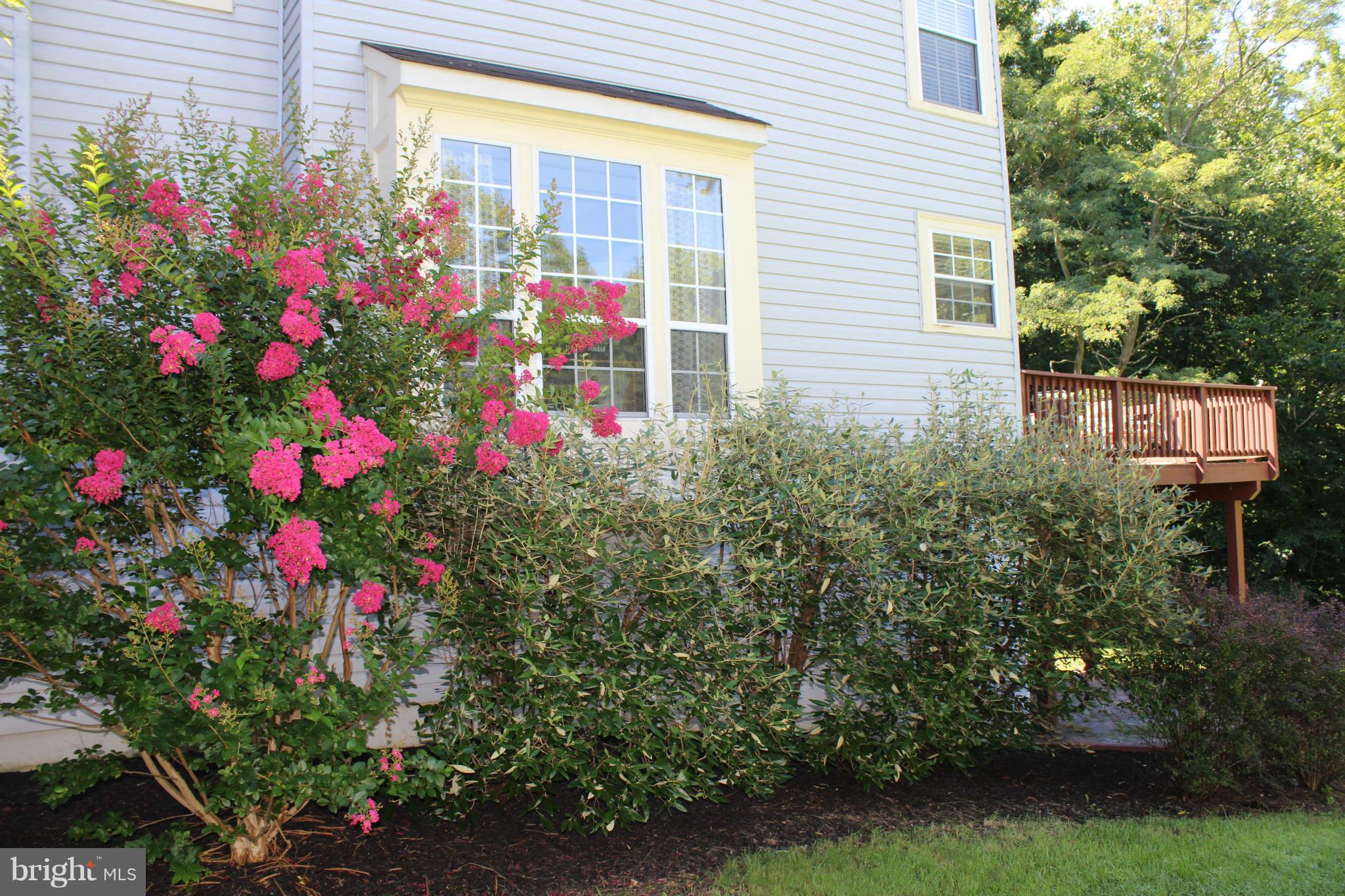 WOODLAND VILLAGE - Residential