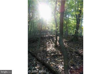 NONE AVAILABLE - Land