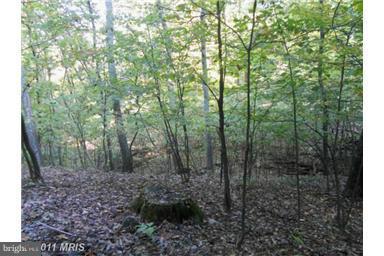 NONE AVAILABLE - Land