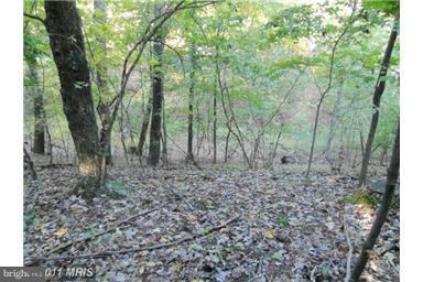 NONE AVAILABLE - Land