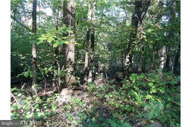 NONE AVAILABLE - Land