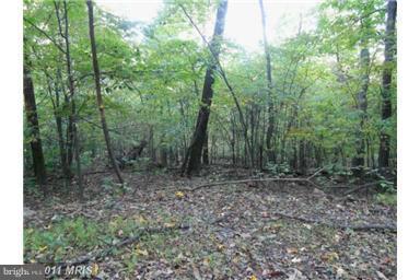 NONE AVAILABLE - Land