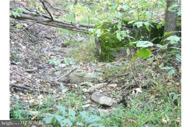 NONE AVAILABLE - Land