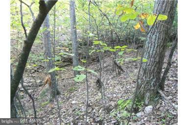 NONE AVAILABLE - Land