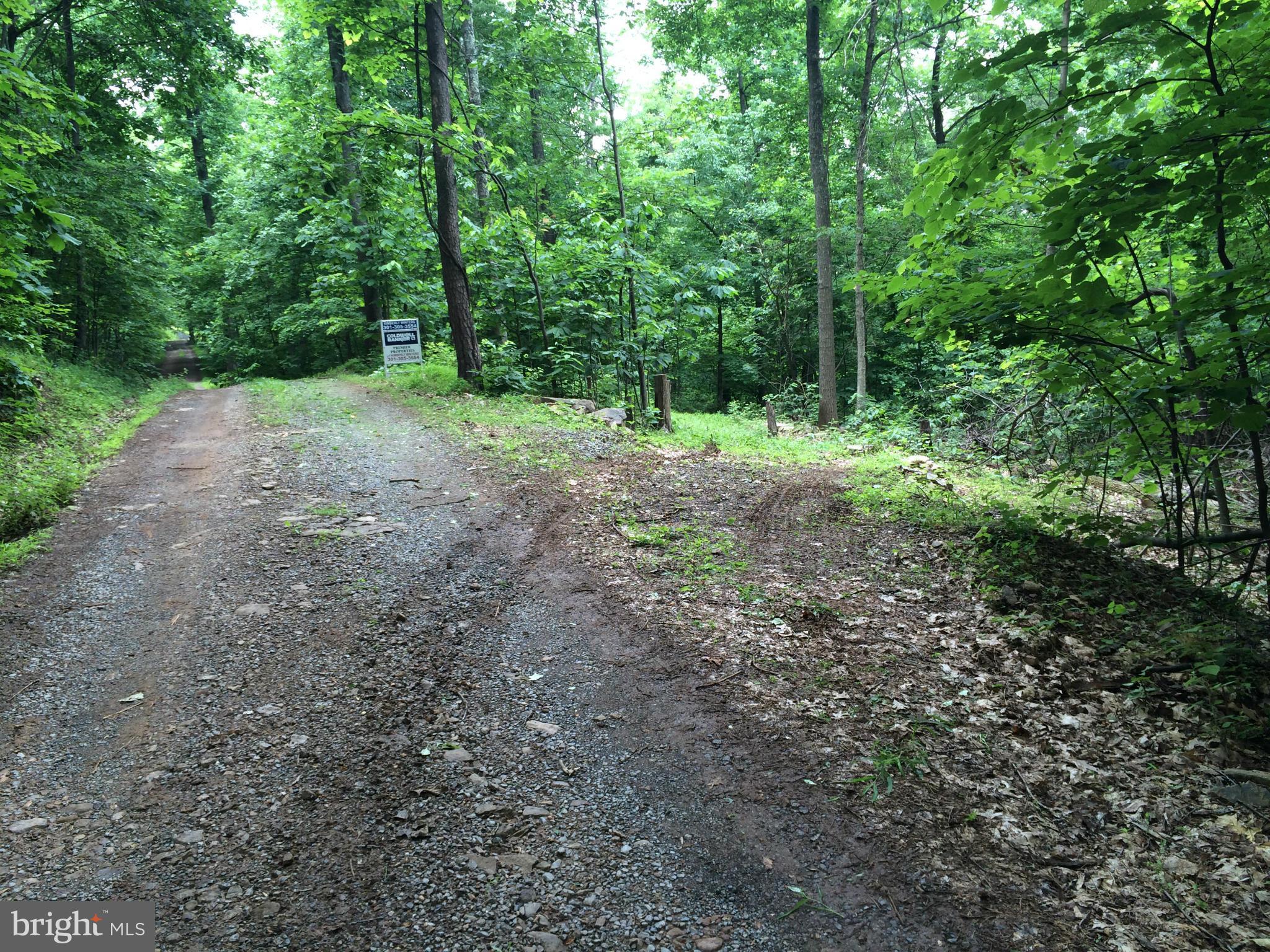 NONE AVAILABLE - Land