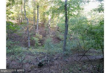 NONE AVAILABLE - Land