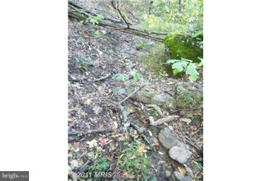 NONE AVAILABLE - Land